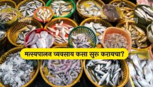 how to start a fish farming business in Marathi fish farming business fish farming business plan fish farming business in India मत्स्यपालन व्यवसाय कसा सुरु करायचा? | Fish Farming Bussiness Information in Marathi