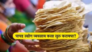 पापड उद्योग माहिती मराठी papad making business papad making machine पापड उद्योग व्यवसाय माहिती मराठी | Papad Making Bussiness at Home in Marathi 